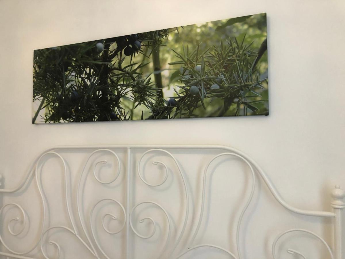 Sa Vivenda Rooms Αλγκέρο Εξωτερικό φωτογραφία