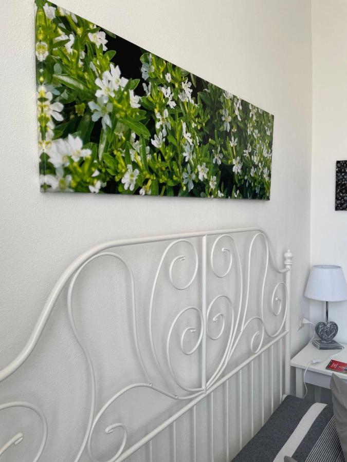 Sa Vivenda Rooms Αλγκέρο Εξωτερικό φωτογραφία